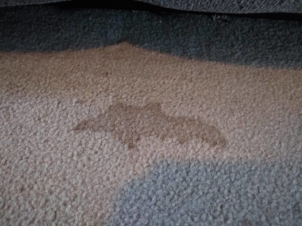 How to remove carpet stains