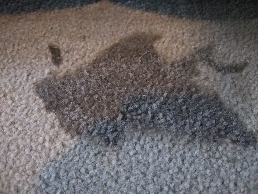 How to remove carpet stains – A Little Hacked